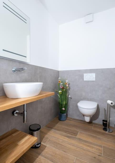 Ferienhaus Mountain View Six50 Mit Sauna Und Kamin In St. Andreasberg Санкт-Андреасберг Екстер'єр фото